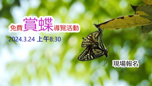免費賞蝶導覽活動 (2024.3.24) 現場報名