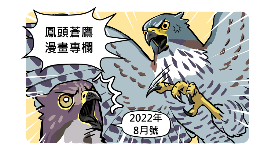 鳳頭蒼鷹漫畫專欄(2022年8月)