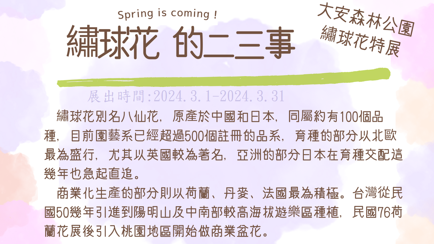 大安森林公園繡球花特展 將於2024年3月1日起至2024年3月31日與杜鵑花心心同步展出歡迎參觀!