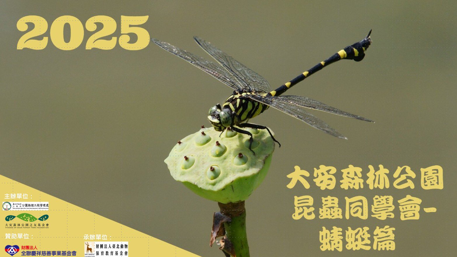 「昆蟲同學會」假日班親子體驗營-9月20日蜻蜓場次