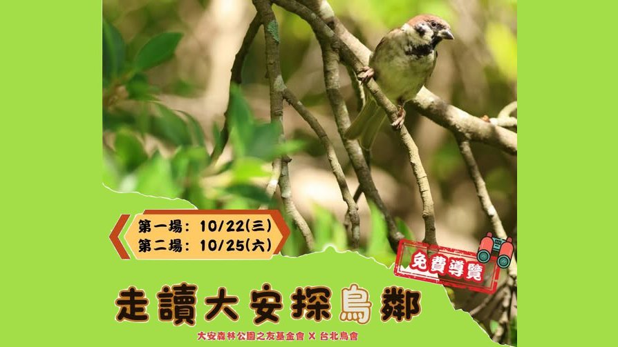 十月 ── 大安走讀・探鳥鄰