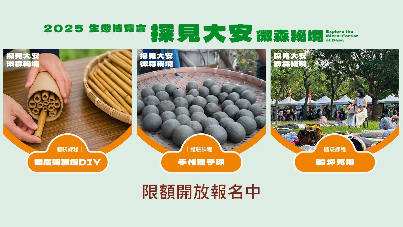 2025 EcoFair 探見大安微森秘境  生態博覽會生態體驗 #躺坪充電 #獨居蜂旅館 DIY #手作種子球 #限額
