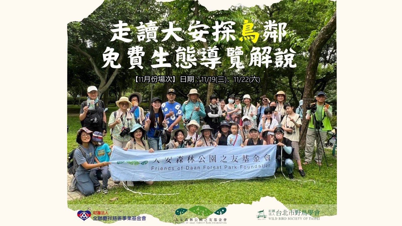 11月 ── 大安走讀探鳥鄰