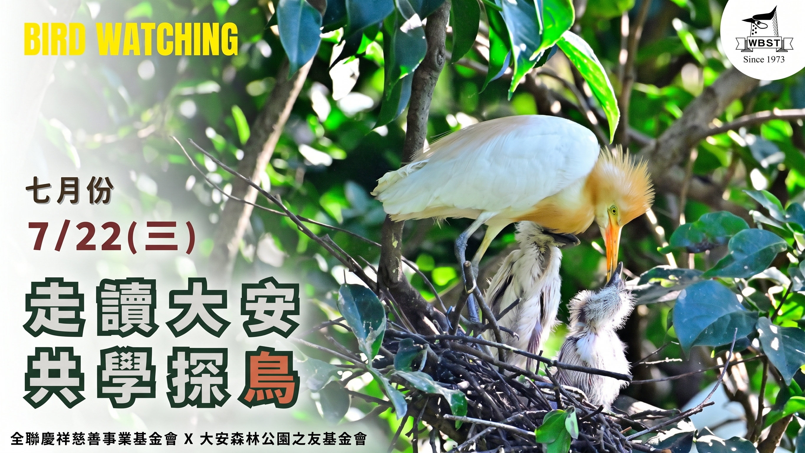盛夏賞鳥趣．走進大安森林公園【大安走讀＊共學探鳥】  七月份場次