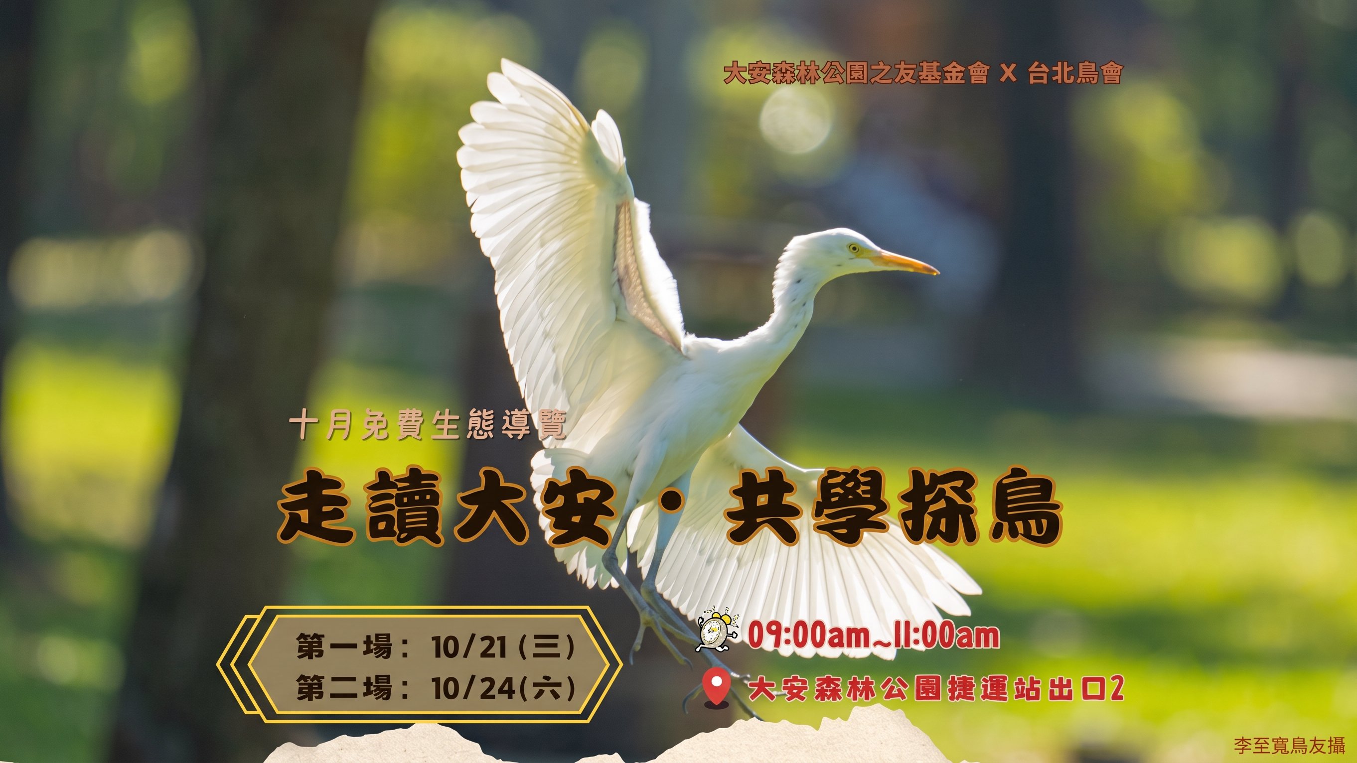 走讀大安・共學探鳥 2026年10月份場次